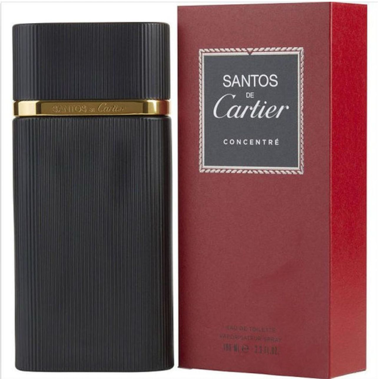 CARTIER SANTOS CONCETRE