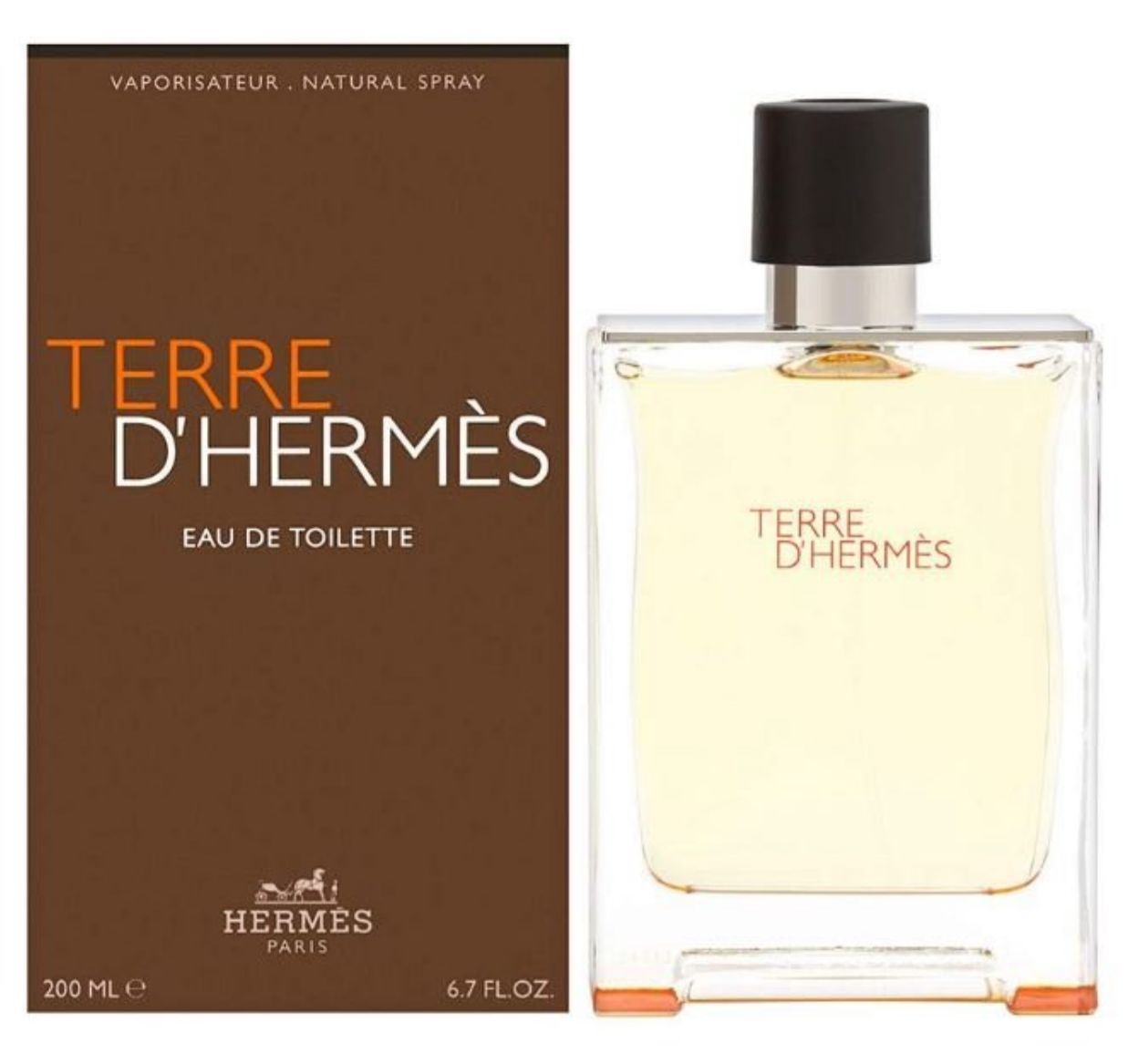 HERMES TERRE